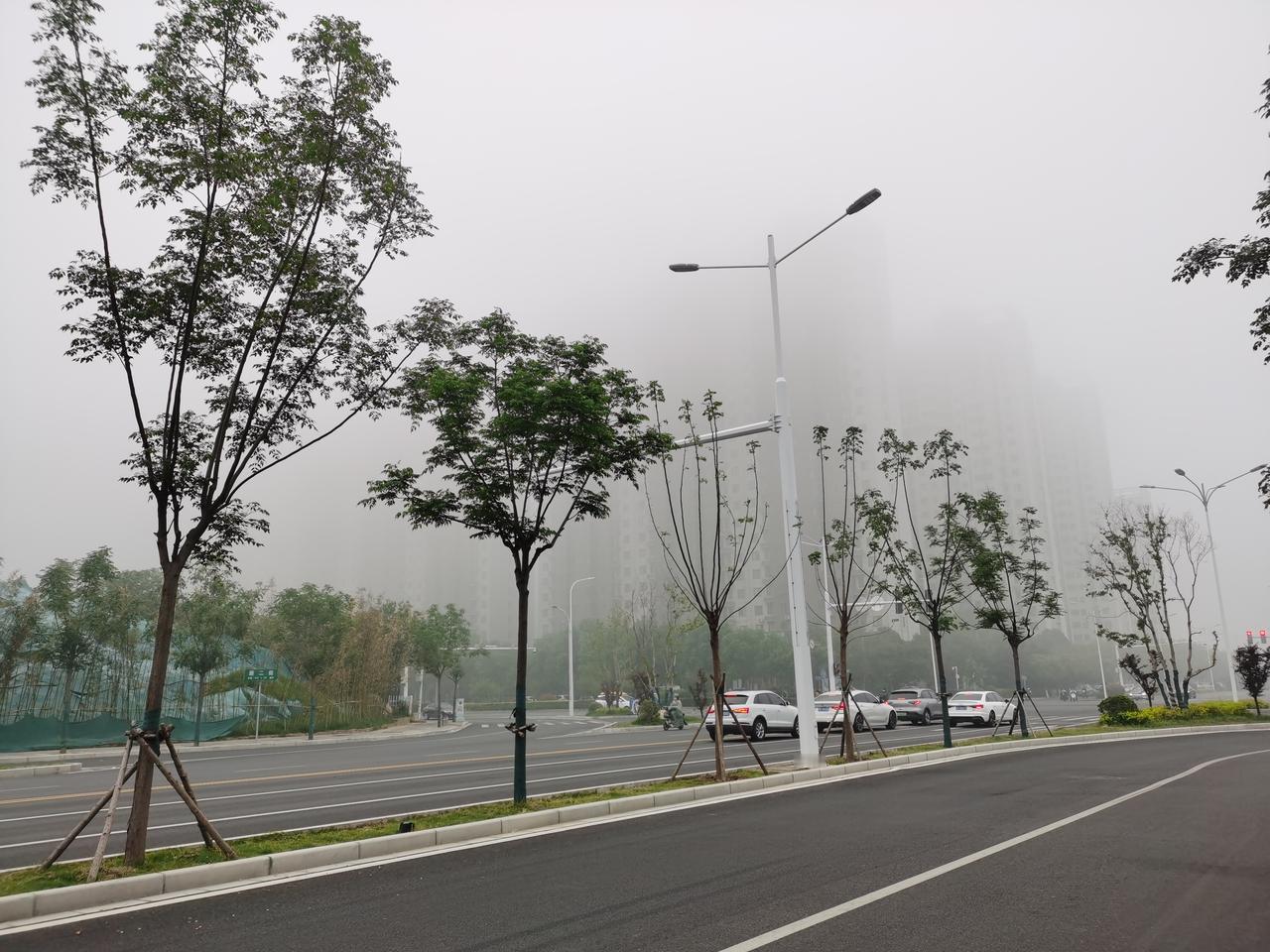 早晨，拉开窗帘，望远处，模模糊糊，影影绰绰，似海市蜃楼。
春天有雾，在我的印象中