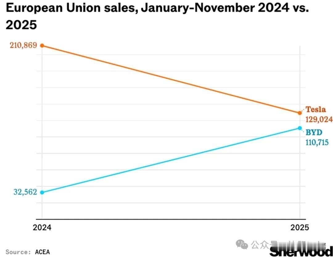 该图表显示了 2024 年至 2025 年 1 月至 11 月期间，特斯拉和比亚