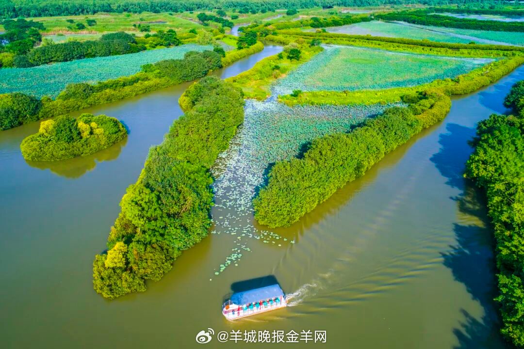 #早安#愿你看过了世间百态，仍然相信世界的美好。愿你体会到人间的暖意，也能在内心