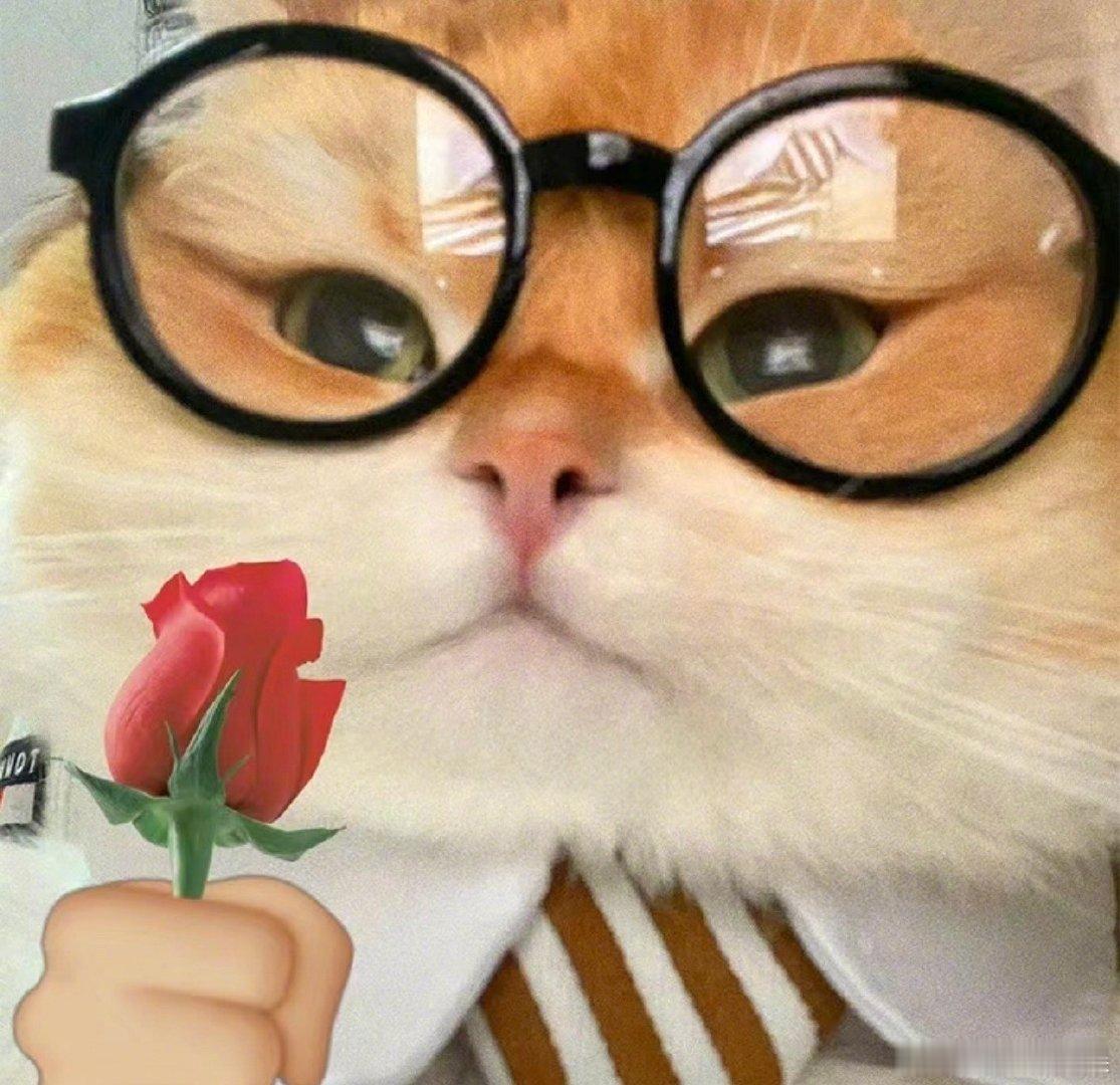 #考上研究生前后的颜值变化#我真的想哭了，考之前也没想到自己会变成这个样子啊，我