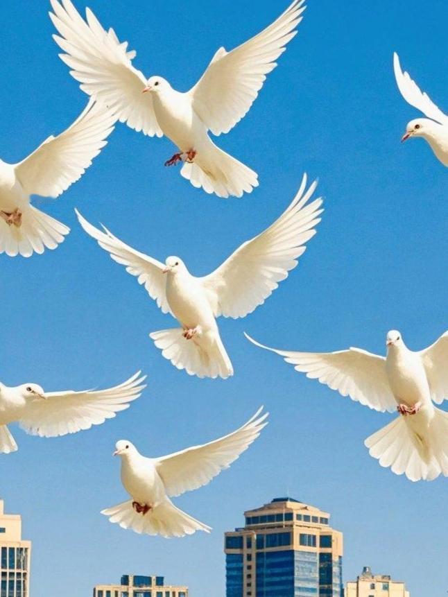 在全球大多数国家都在欢乐中迎接新年到来的时候，俄罗斯与乌克兰的战争仍在继续，两个