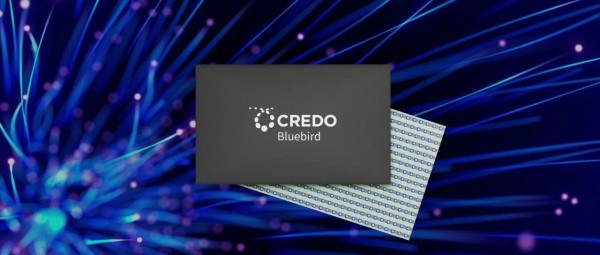 AI智算的运力保障，颠覆性创新背后的Credo信念