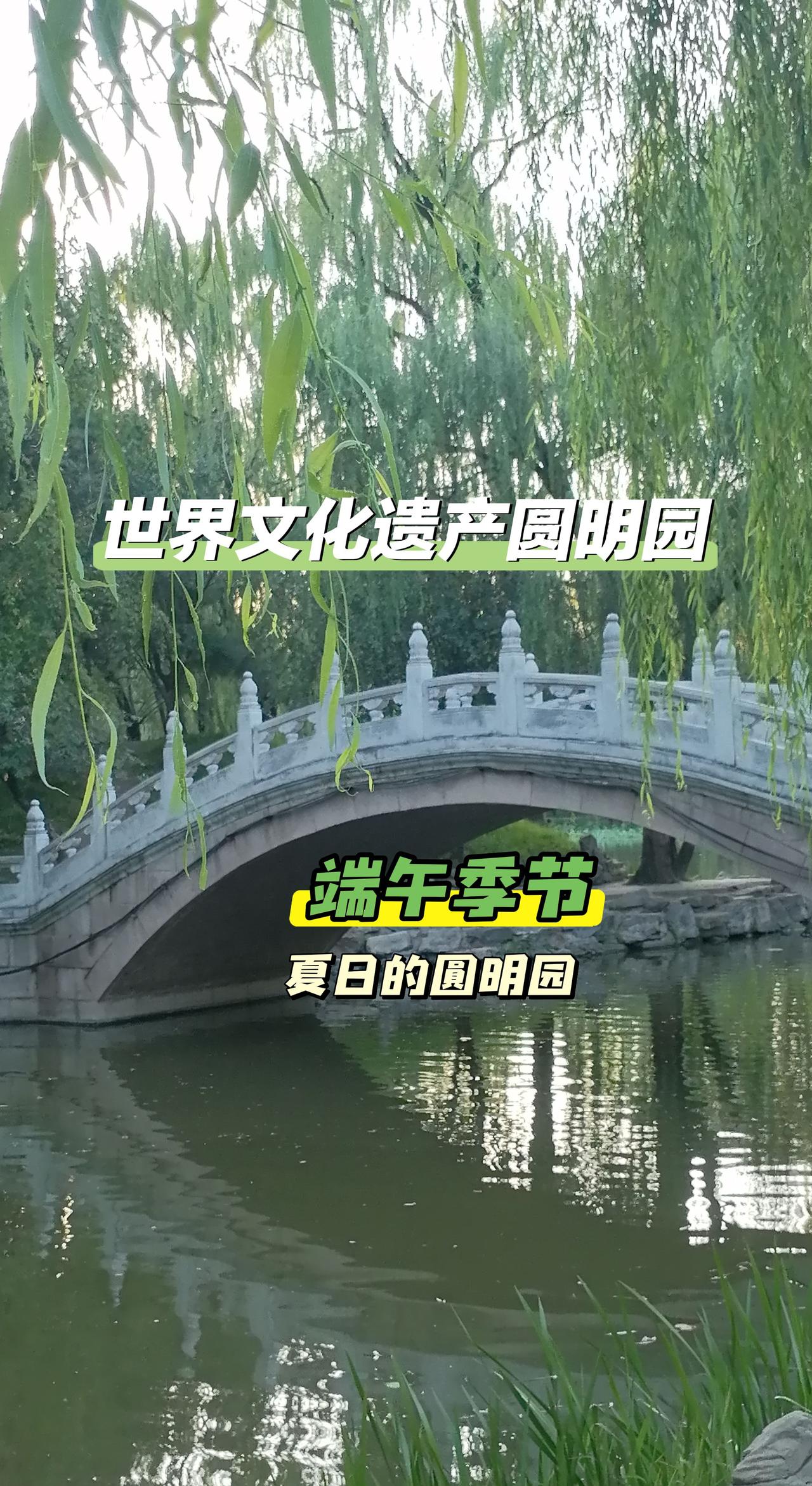 圆明园，夏日之时，更加显示出那种厚重与明静！圆明园