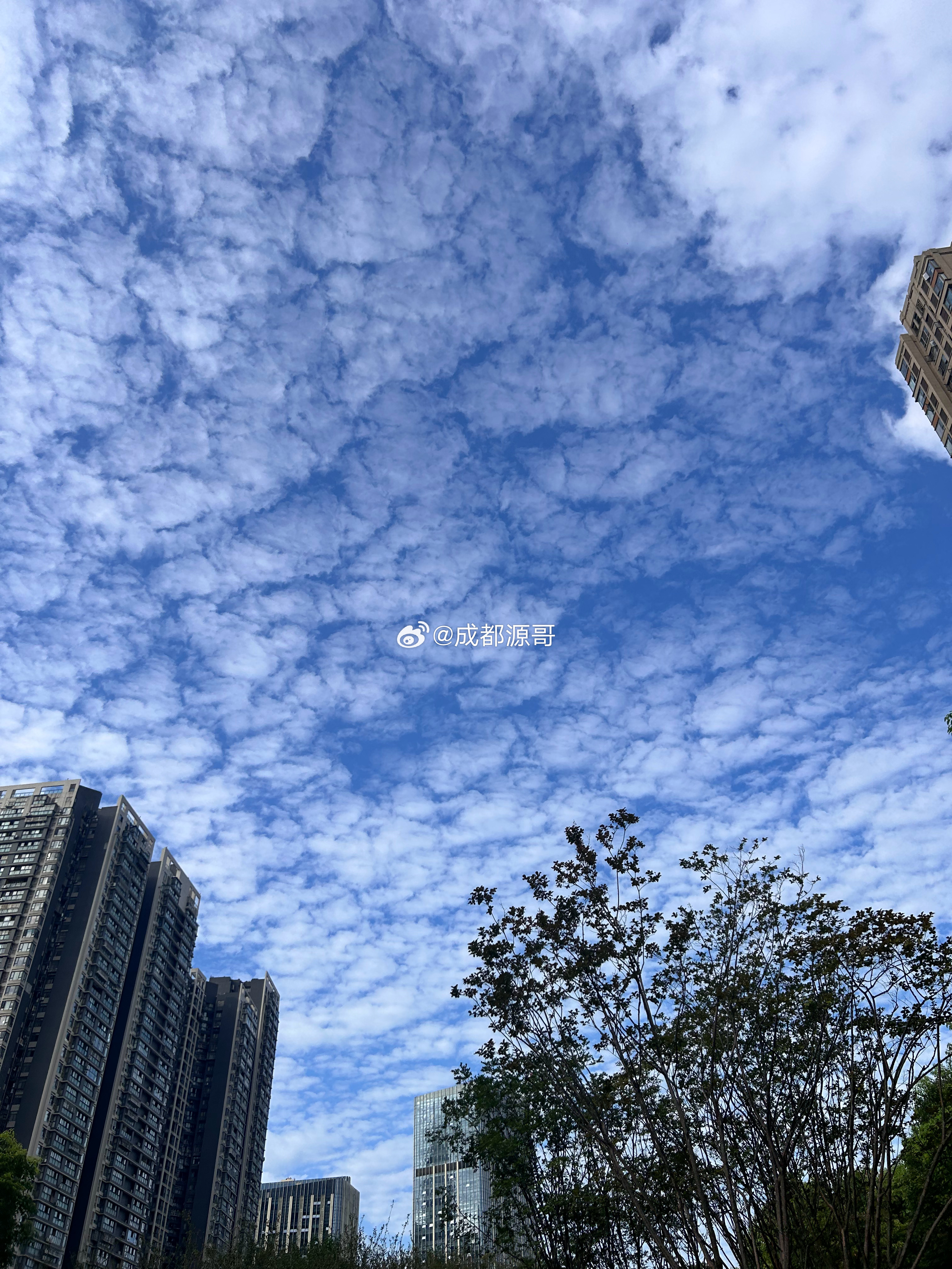 早起，开工