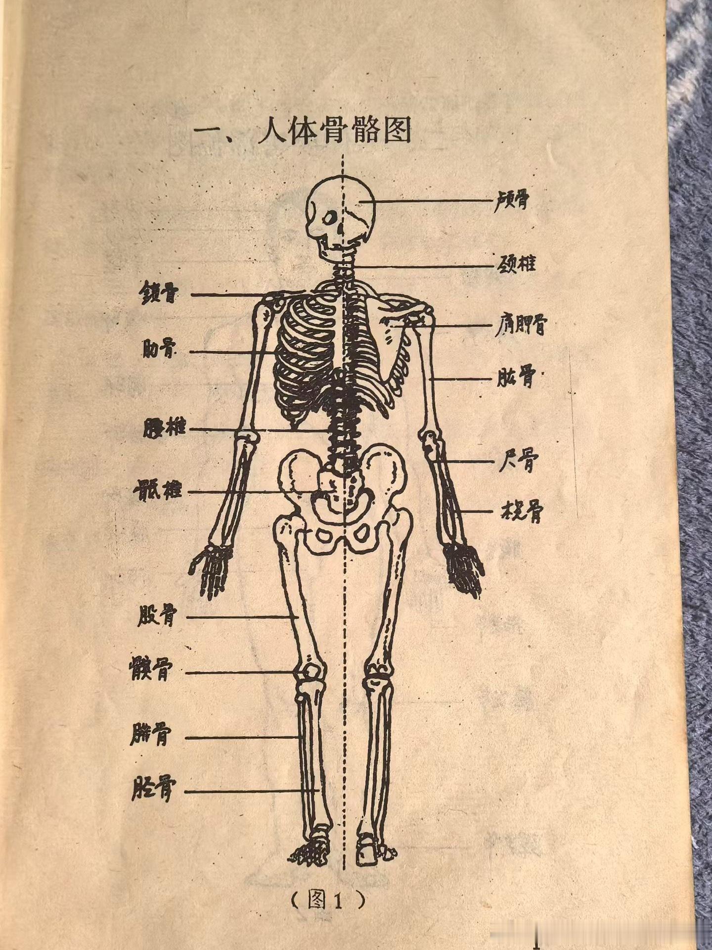 来公司来的早，大家还没到就想着想看看书，没想到翻到了一本陈旧的册子，乍一看还挺有