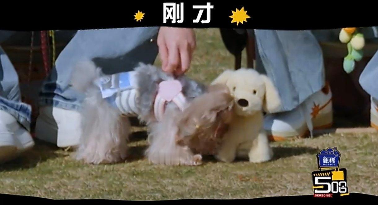 鹿晗的美男计第一次失败也就安古能顶住鹿晗的颜值诱惑了，精心布置小套路开启美男计，
