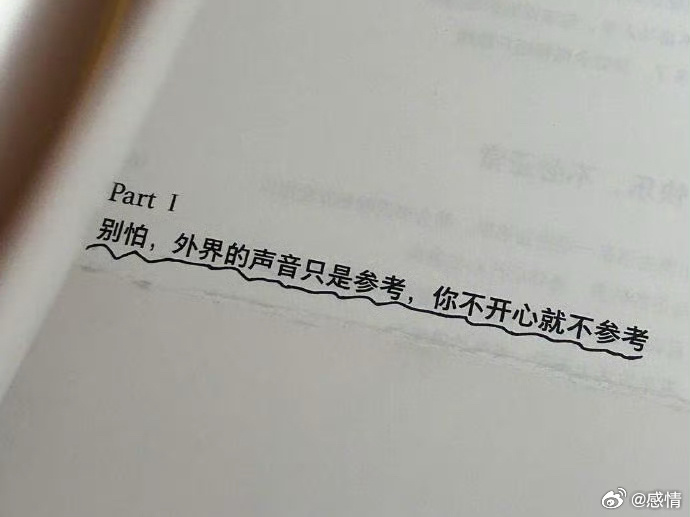外界的声音都是参考，你不开心就不要参考。 
