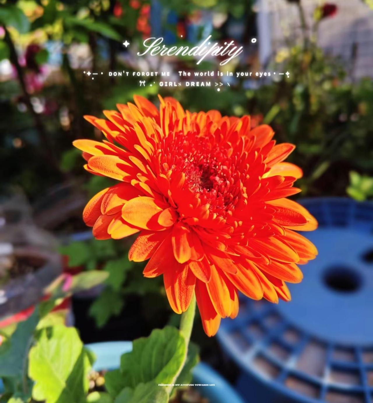 慢火熬香、岁月凝醇；这才是时间该有的味道～——周末愉快🌻