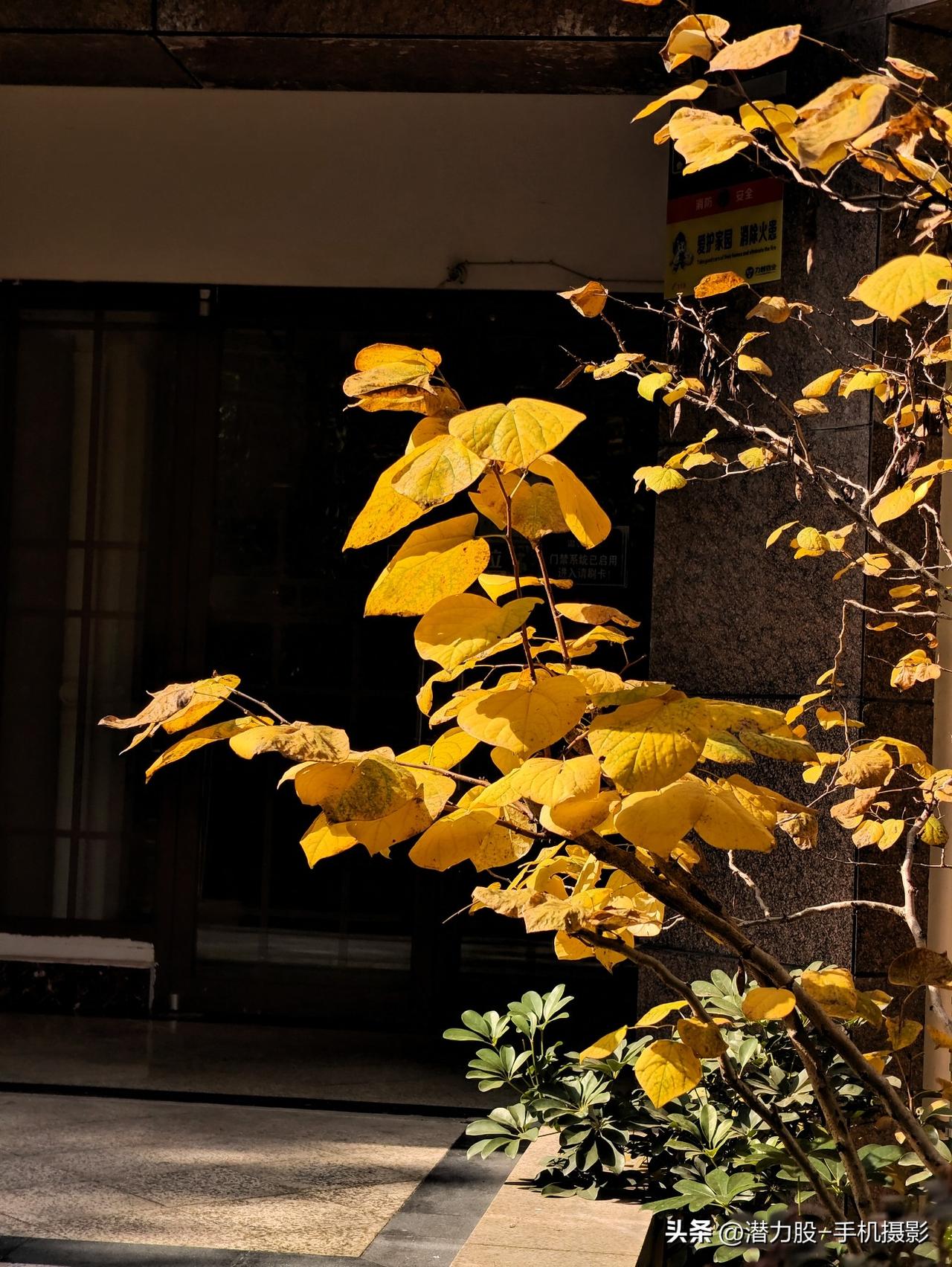 晒一晒你所拍的风景照