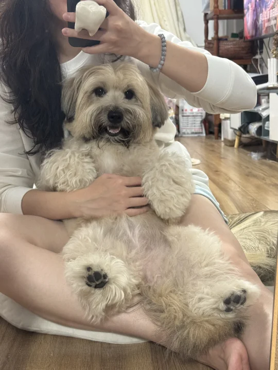 她这么可爱 和我自己生的有什么区别