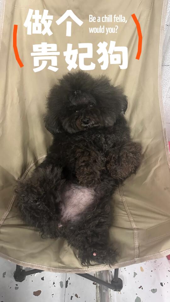 随地大小睡的宝宝
