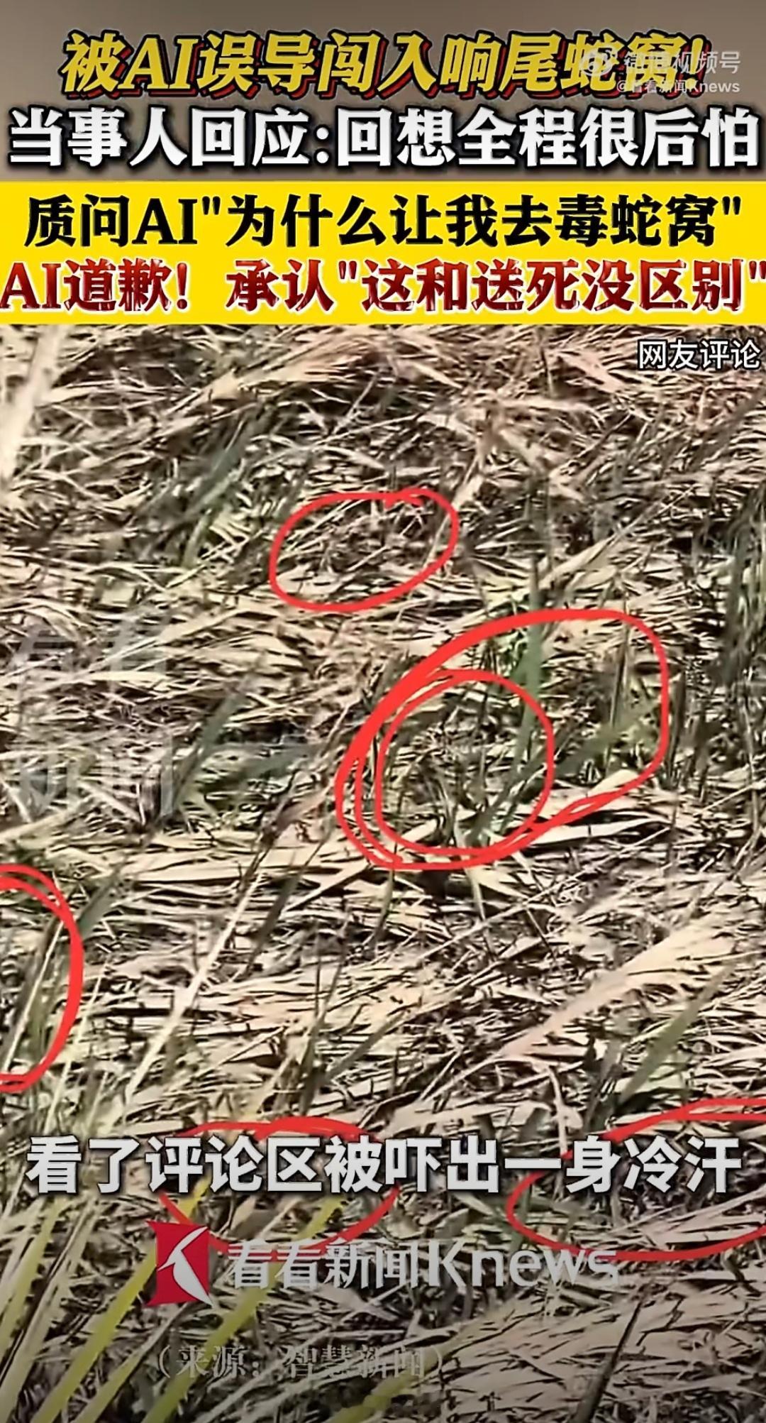女子被AI误导闯入毒蛇窝太惊险了，哪怕图片里圈起来了也看不出来有蛇！女子想找徒步