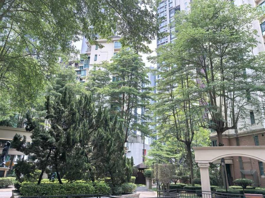 3.9万买科技园，英伦名苑206平只要800万，交通方便/位置好/高赠送~

英