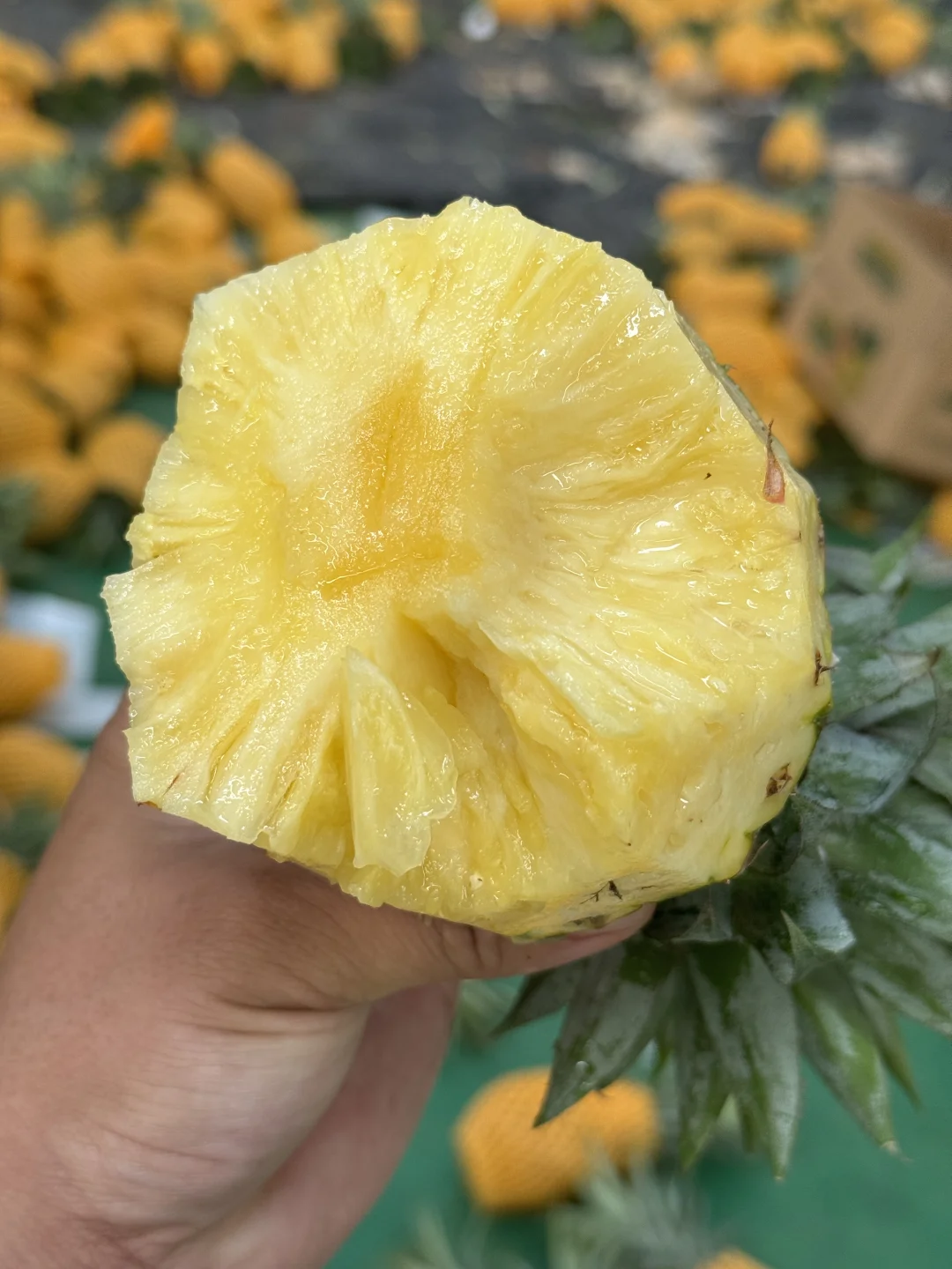 ⚠️千万别吃点💊催熟的凤梨，能劝一个算一个！