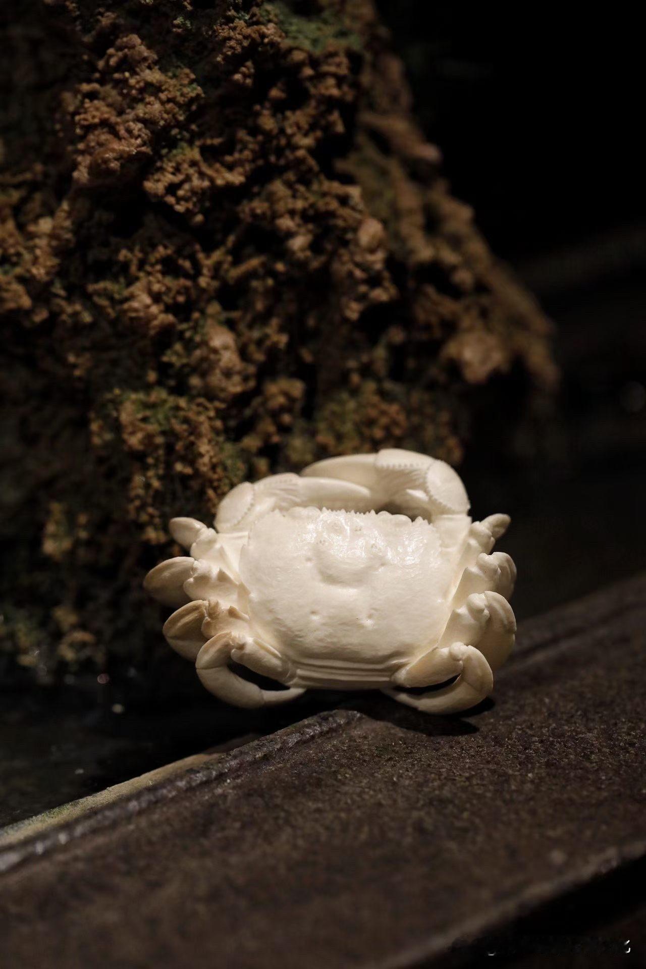 有些小件，看着轻巧，其实很“有意思”。

这只猛犸螃蟹，通体温润细腻，
不像石那