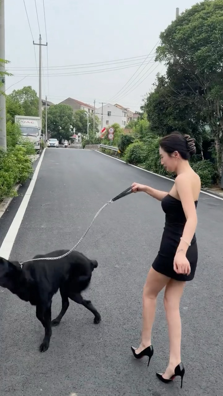 狗子大力气也大 