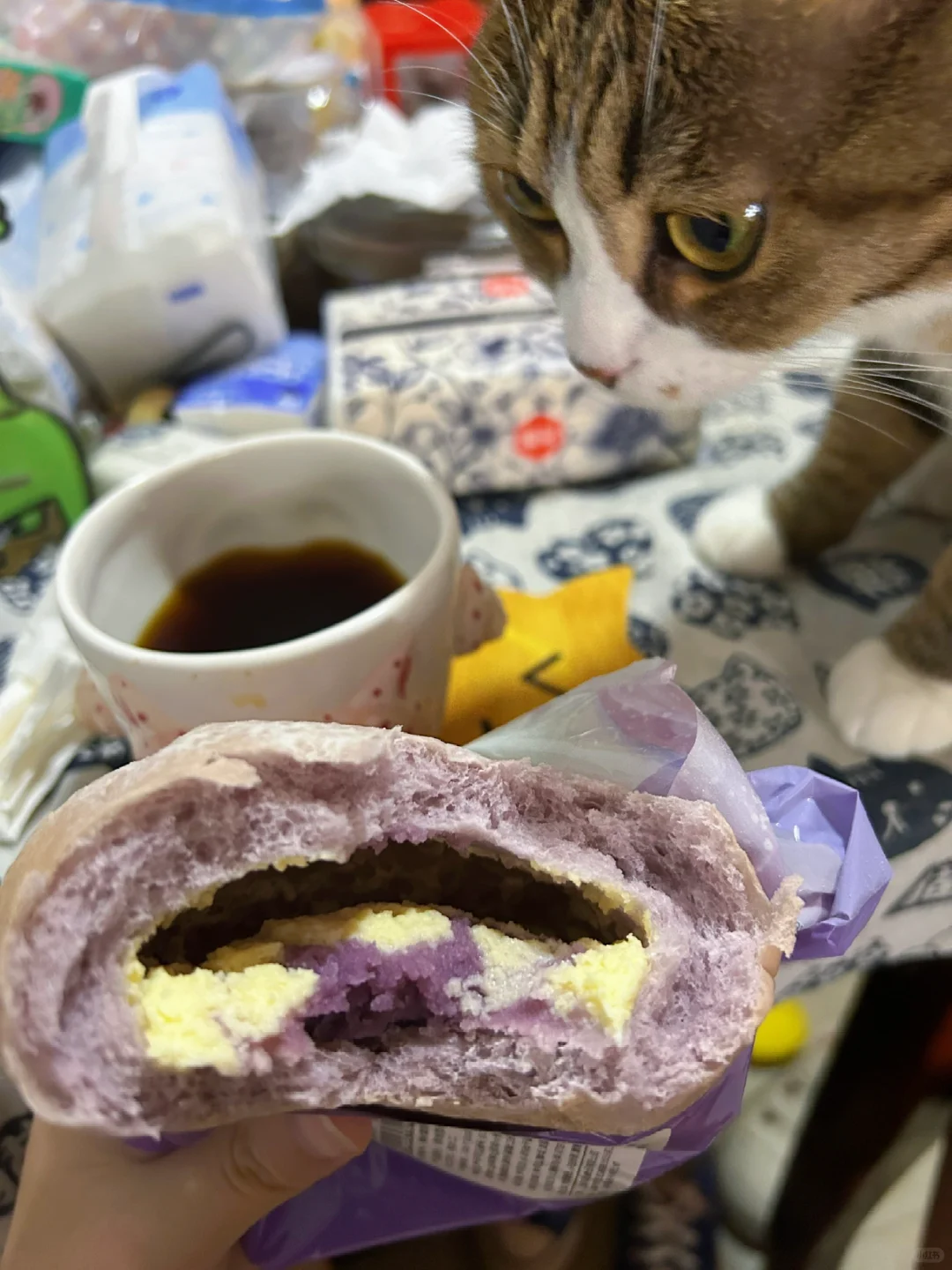 小馋猫又来要面包吃…