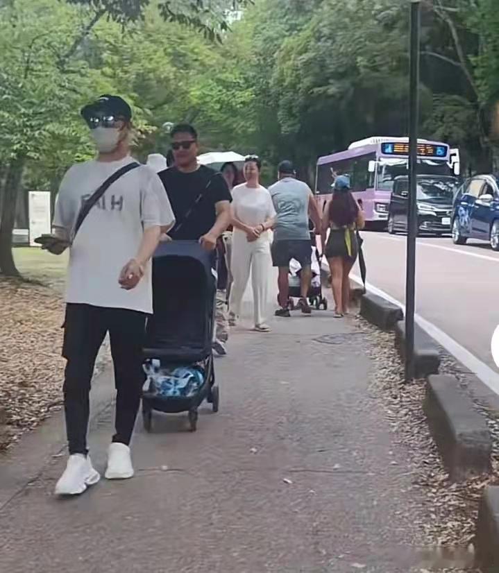 隔空打擂，汪峰森林北拖家带口游日本，章子怡埃及独美！ ​​​
