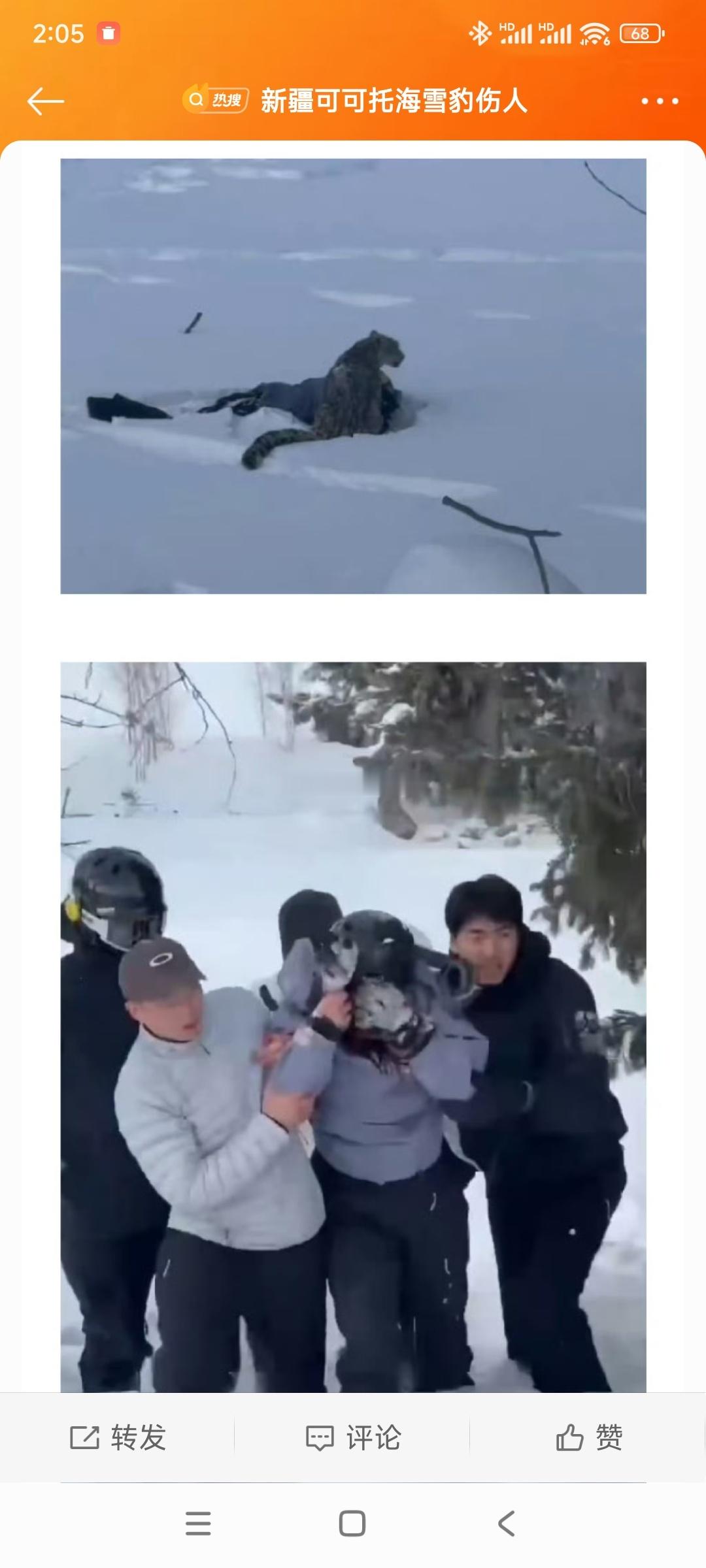 与野兽冲突可攻击其口鼻眼脆弱部位    建议央视小编展示如何与野兽搏斗或者一个滑