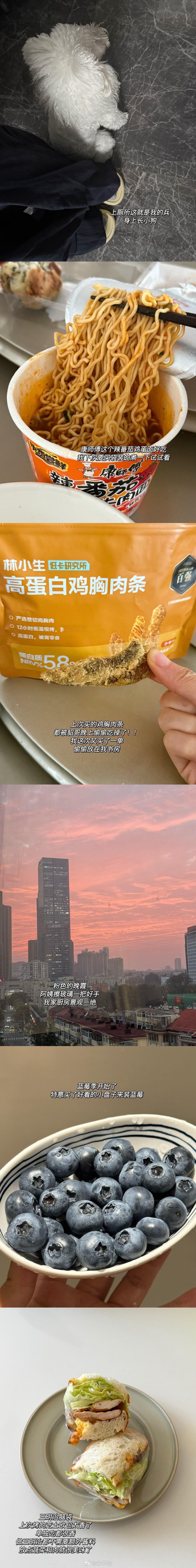 生活碎片 plog.249  祝大家假期快乐～ ​​​
