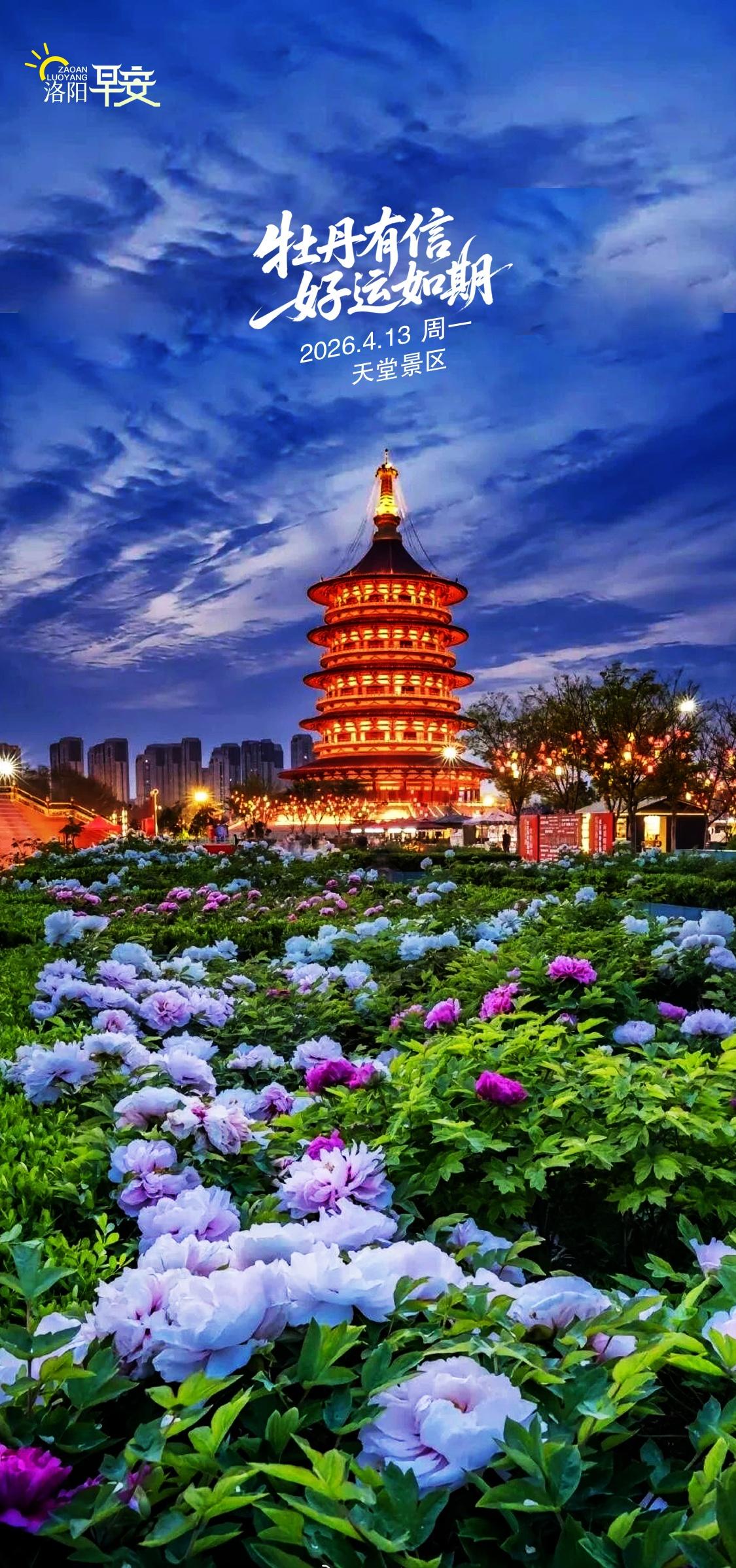 【洛阳•早安】牡丹有信，好运如期～早上好洛阳铁警一句不急别哭太暖了亲人离世女孩车