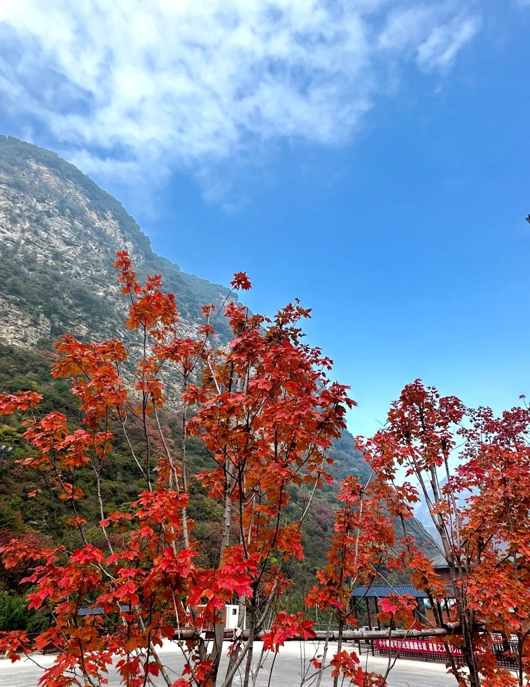 10.30少华山实拍，无滤镜版👀
从西安自驾过去，大概一个小时左右路程，早上1