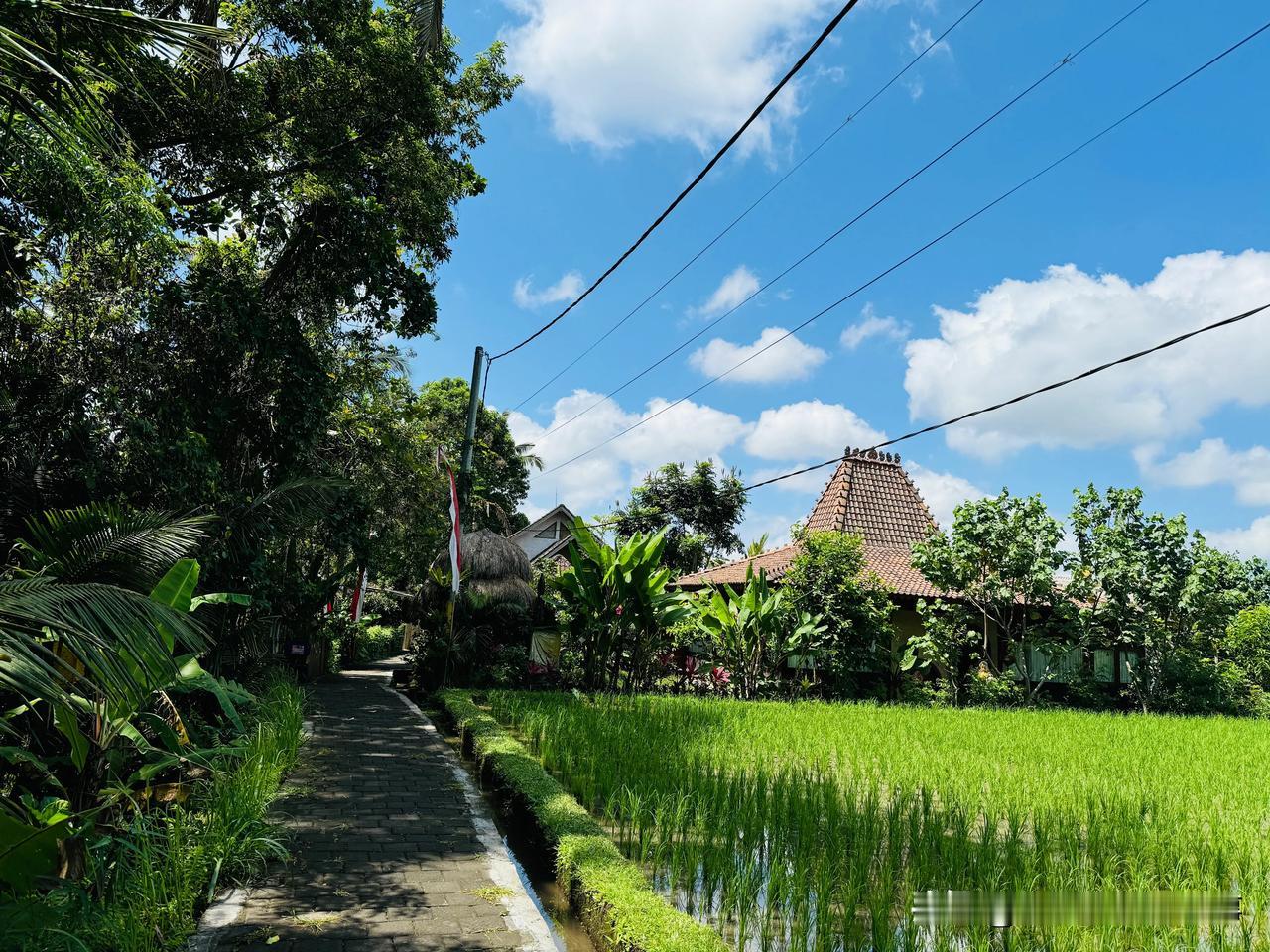 巴厘岛旅居
老喜欢住在乌布的原因就是因为这蓝天白云
加上不冷不热的天气
阳光，稻