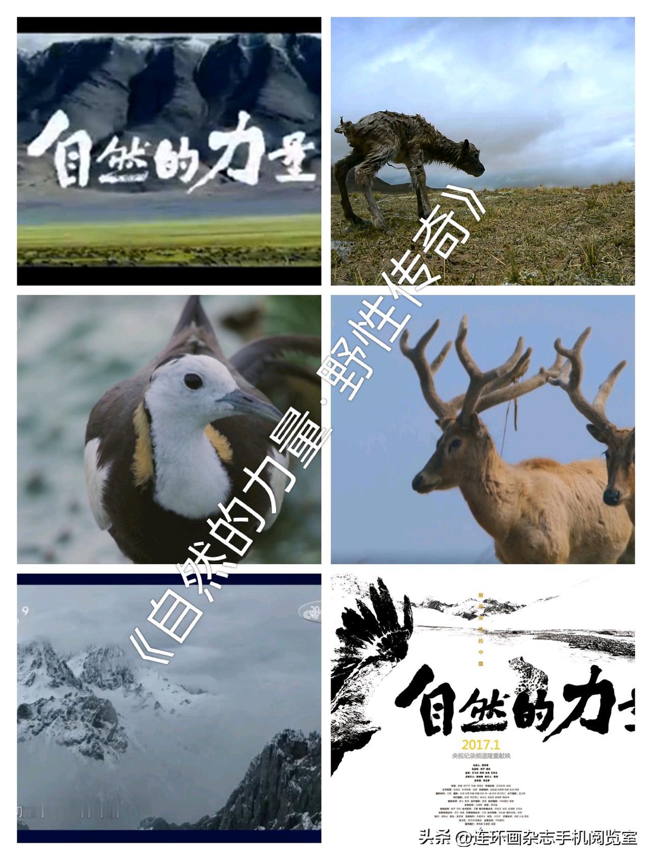 微杂志〔《自然的力量·野性传奇》、朋友圈旅拍图选、国产越野〕