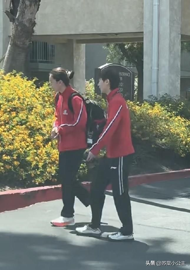 王曼昱怎么了？今天下训的时候，腿怎么一拖一拖的？

今天鳗鱼下训，
和徐奕、同同