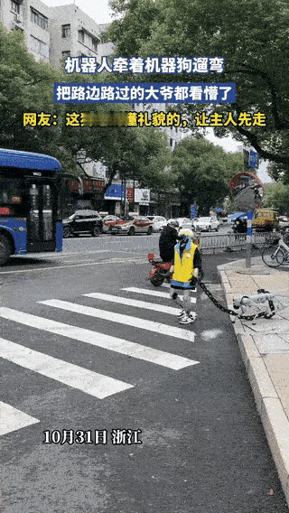 “彻底解释不清了！”浙江马路上，一机器人牵着机器狗过斑马线，骑电动车的大爷看懵了