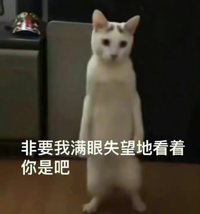 超级搞笑又实用的表情包 ​​​