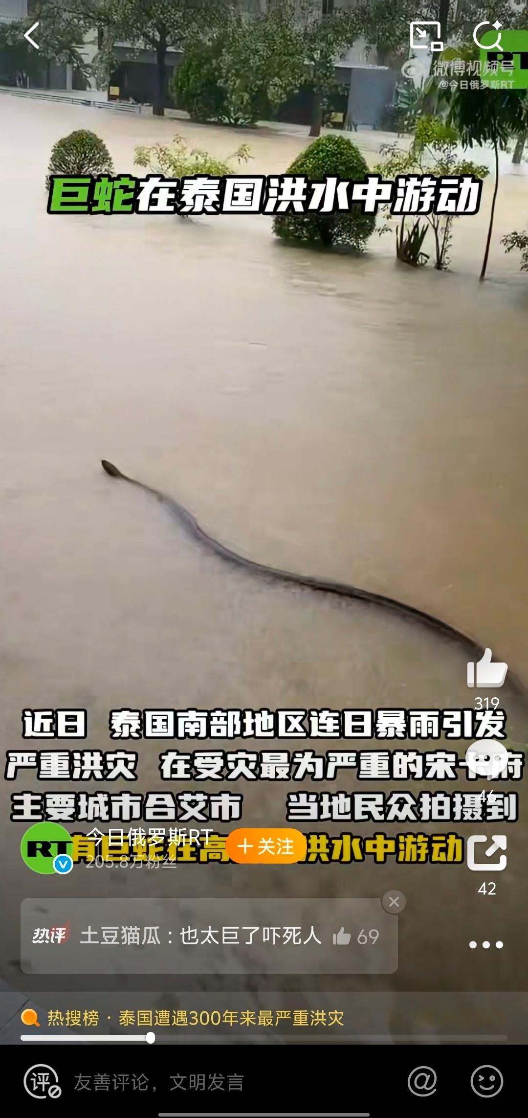 巨蛇在泰国洪水中游动这么长的蛇！？还好不生活在蛇多的地方，这么长的蛇碰上看一眼就