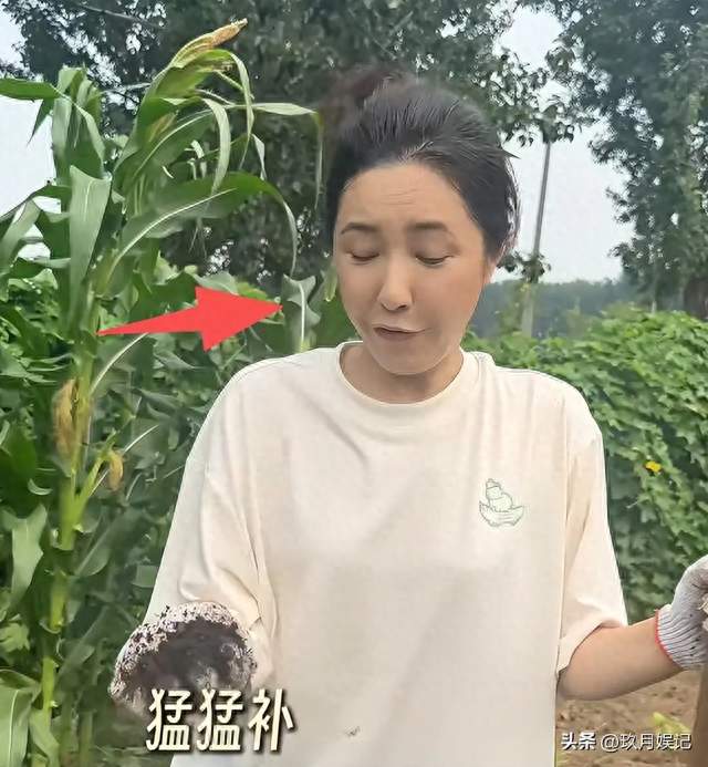 49岁曾黎回老家种地，晨跑被骂“不雅”，人走茶凉在她身上应验了