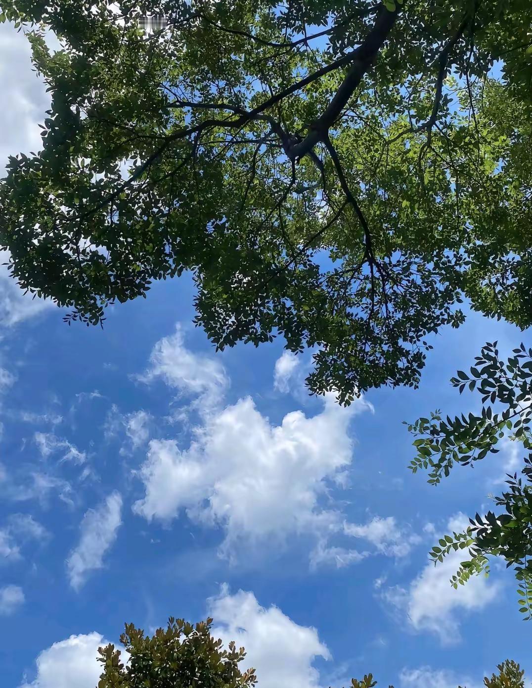 有时候做人真的挺难的，不计较吧，人家说你好傻，好像你就是个软柿子，随便捏，计较了