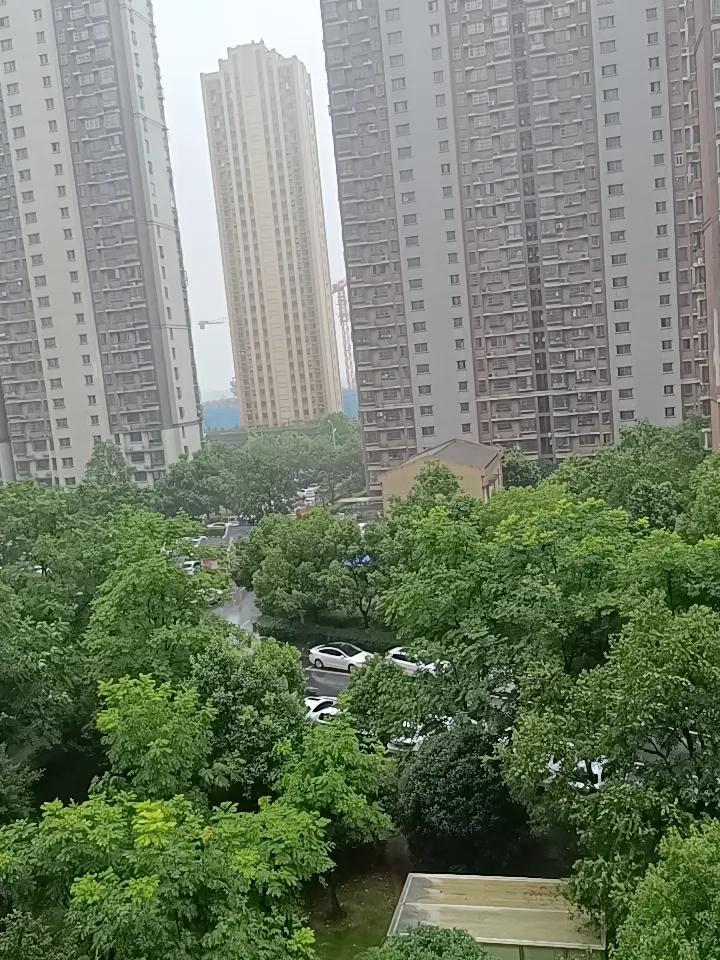 巴威这台风终于来安徽了。虽说中午风平浪静，快两点才有了点小风小雨，感觉影响不大。