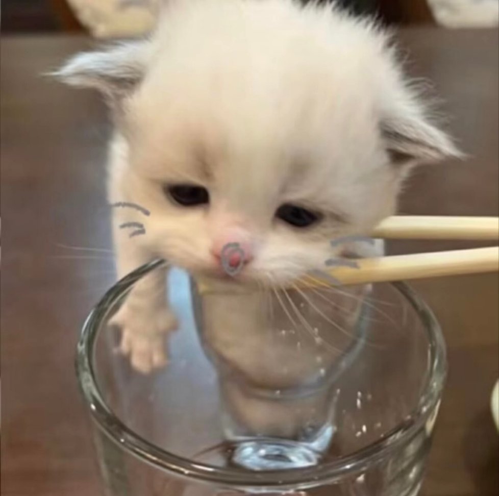 𝑾𝒆𝑪𝒉𝒂𝒕. 搞怪动漫可爱头像分享𝑆𝘩𝑎𝑟𝑒🩰 