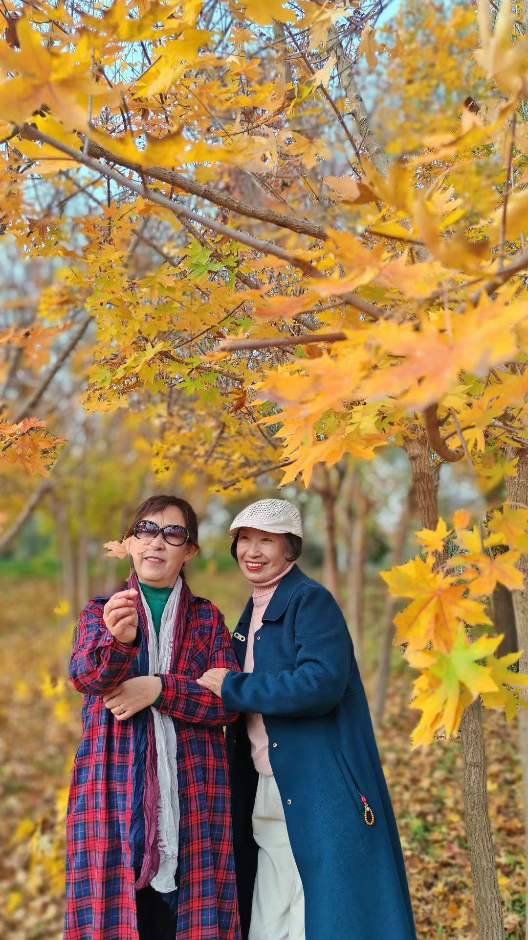 周六的阳光把银杏叶晒得发脆，林姐和王妹踩着满地碎金，咯吱咯吱的响。两人都穿着漂亮