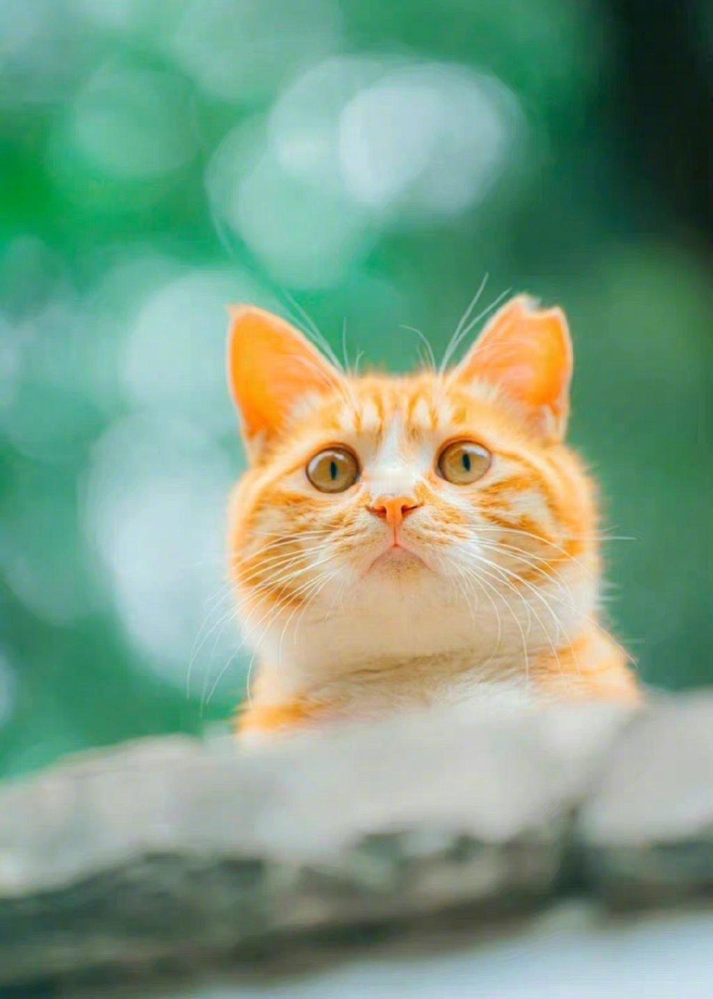 好事接二连三的发生在你身上 ​​​