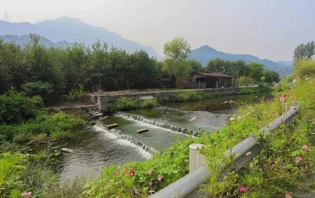 过怀柔乡野
文/冯继兴

怀阔闲云麦正青，柔条桑葚落柴荆。
清风抚袖剪荫影，忽有