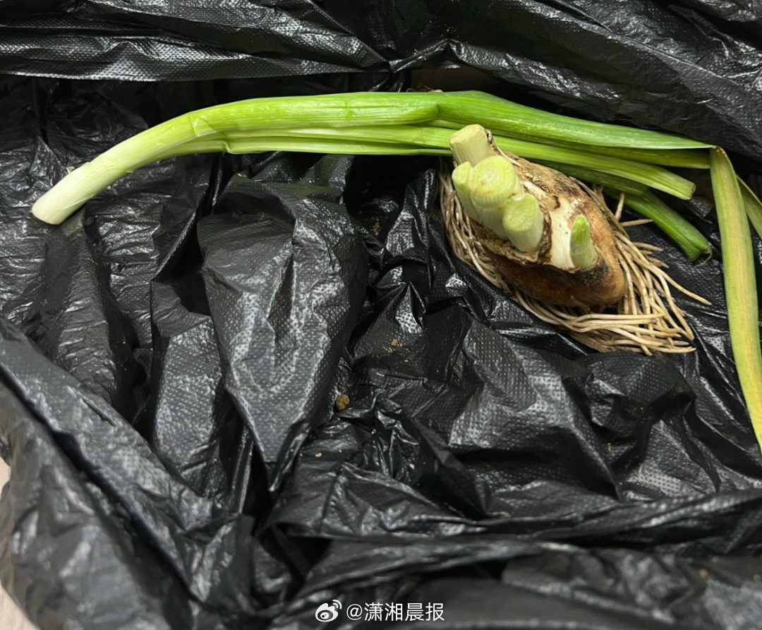 【#老人捡水仙花被儿媳炒菜吃全家中毒#呕吐，#医生称若误食水仙花可大量喝水催吐#