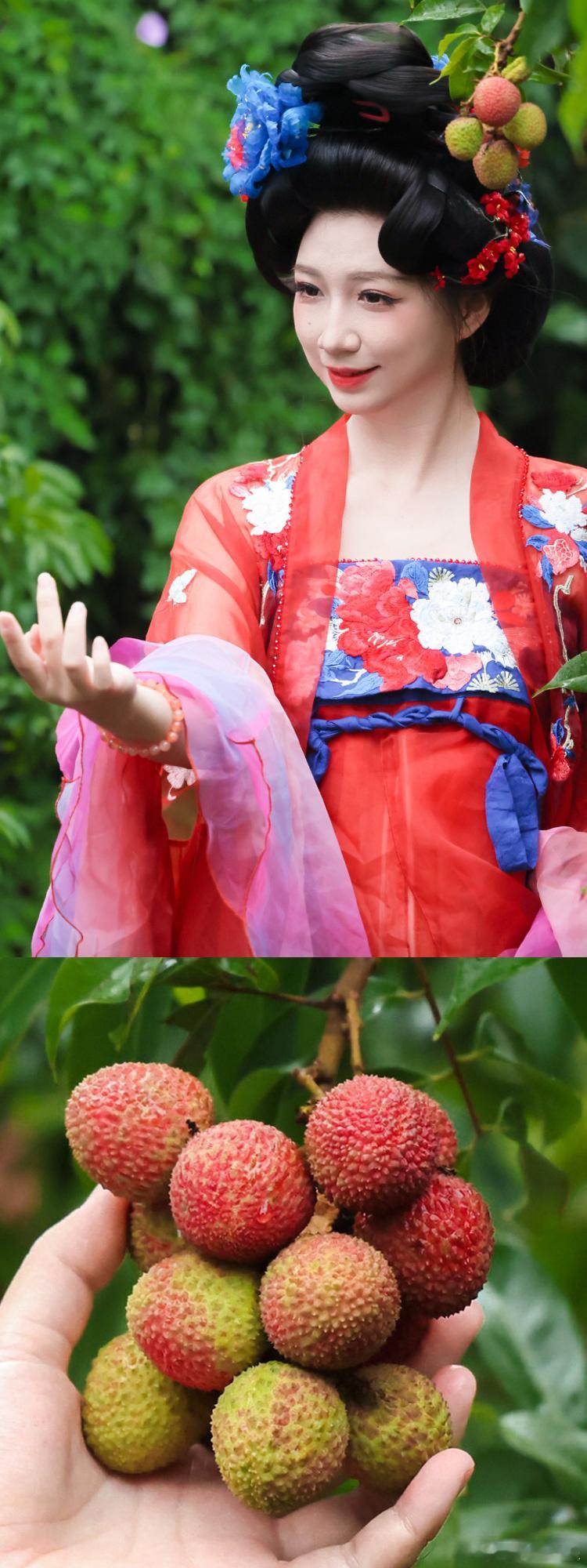 珠海荔枝鲜到西安人还没登机珠海荔枝先坐上头等舱 曾几何时，运动到长安的荔枝需要累