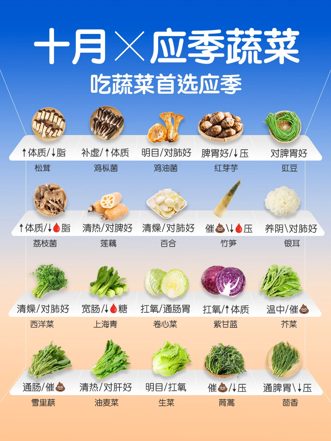 10 🈷️ 应季蔬菜速查👆 ｜吃蔬菜首选应季🥦