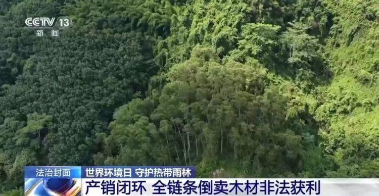 凌晨病房里，他俯身对她说：你昏迷时喊出了他的名字。
她当场就愣住了。脸色白得像床