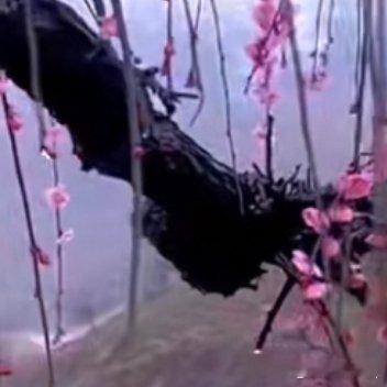 悲观者说人生是一杯苦酒，乐观者说人生是一杯香槟，悲观者说人生是一杯清水，乐观者说