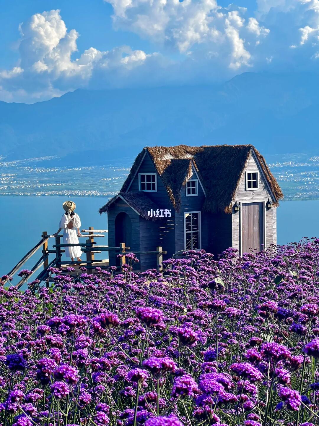 live图的意义｜比照骗更真实更有杀伤力