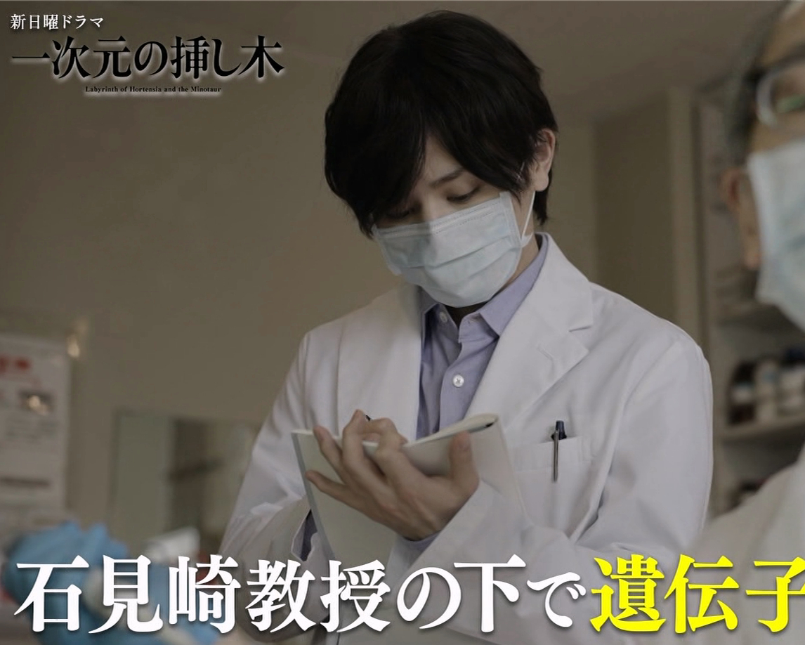 真好看