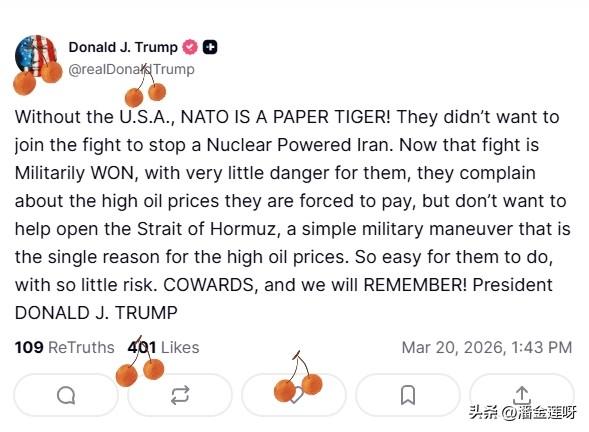 因为美国的北约盟友们不愿意出面帮助解决霍尔木兹海峡问题，川普公开“声讨”北约盟友