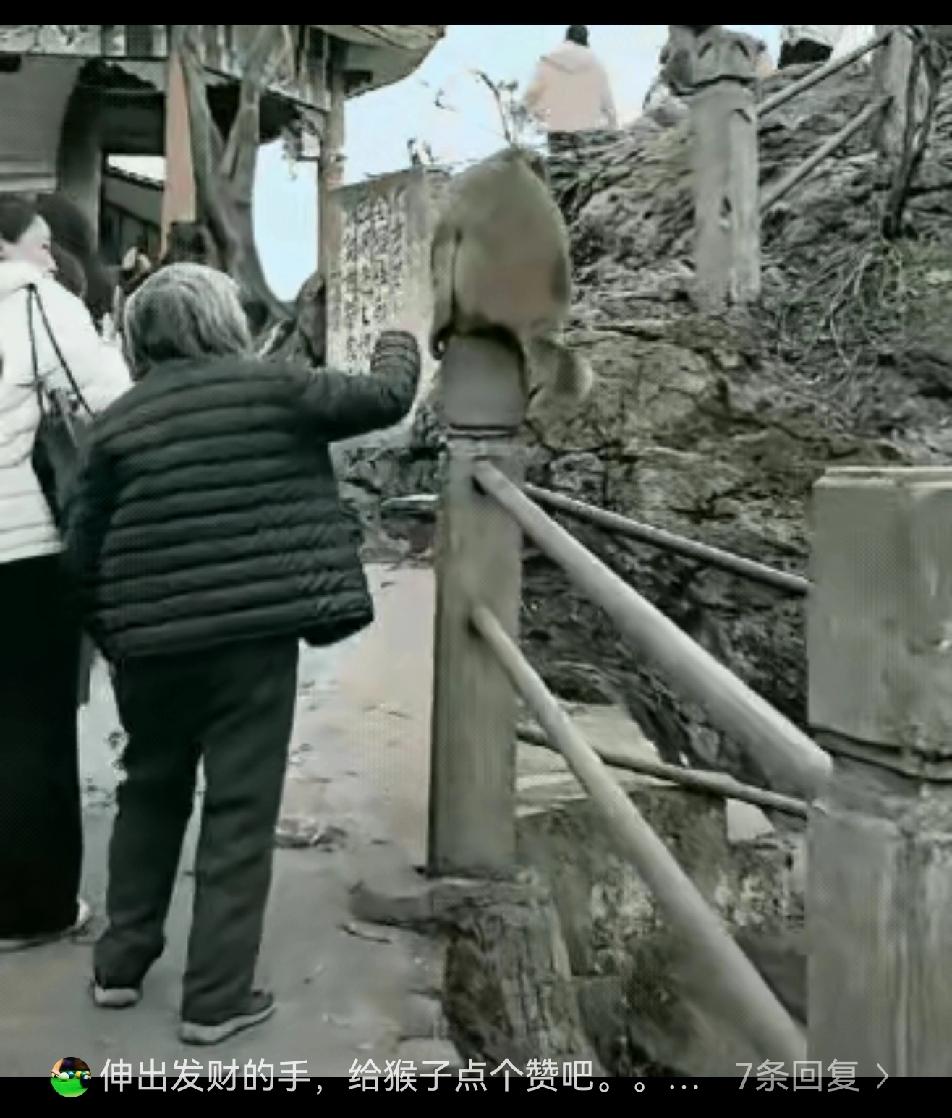 这老太太也太爱惹事了吧！
都这么大年纪了，怎么就不知道稳重一点呢？
 
视频里看
