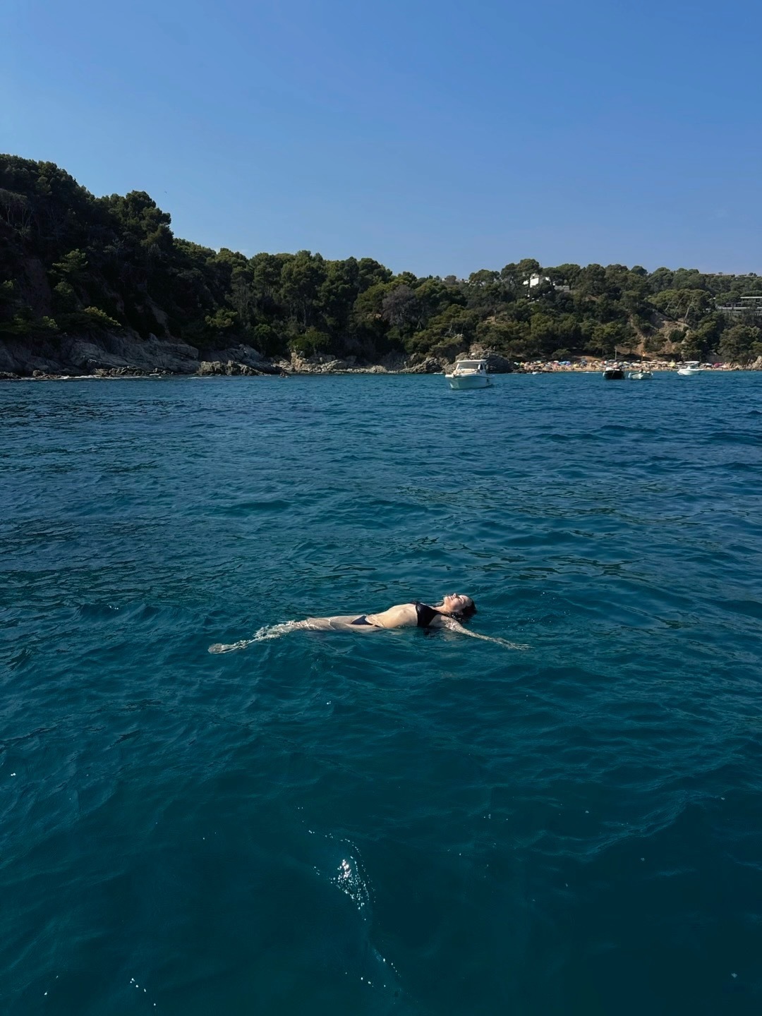 elsaroshe 