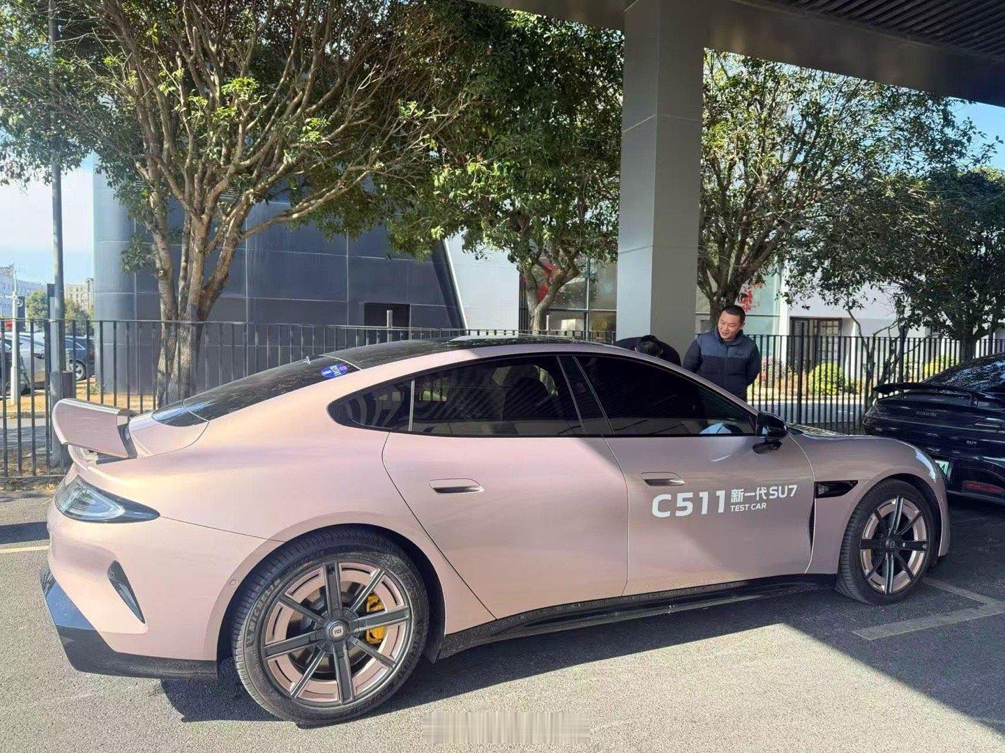 新一代小米su7的鎏金粉，这个角度怎么样？ 